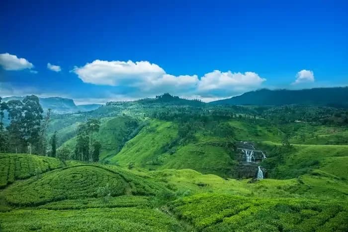 Day 06 | Scenic Tea Country & Highland Charm | Nuwara Eliya