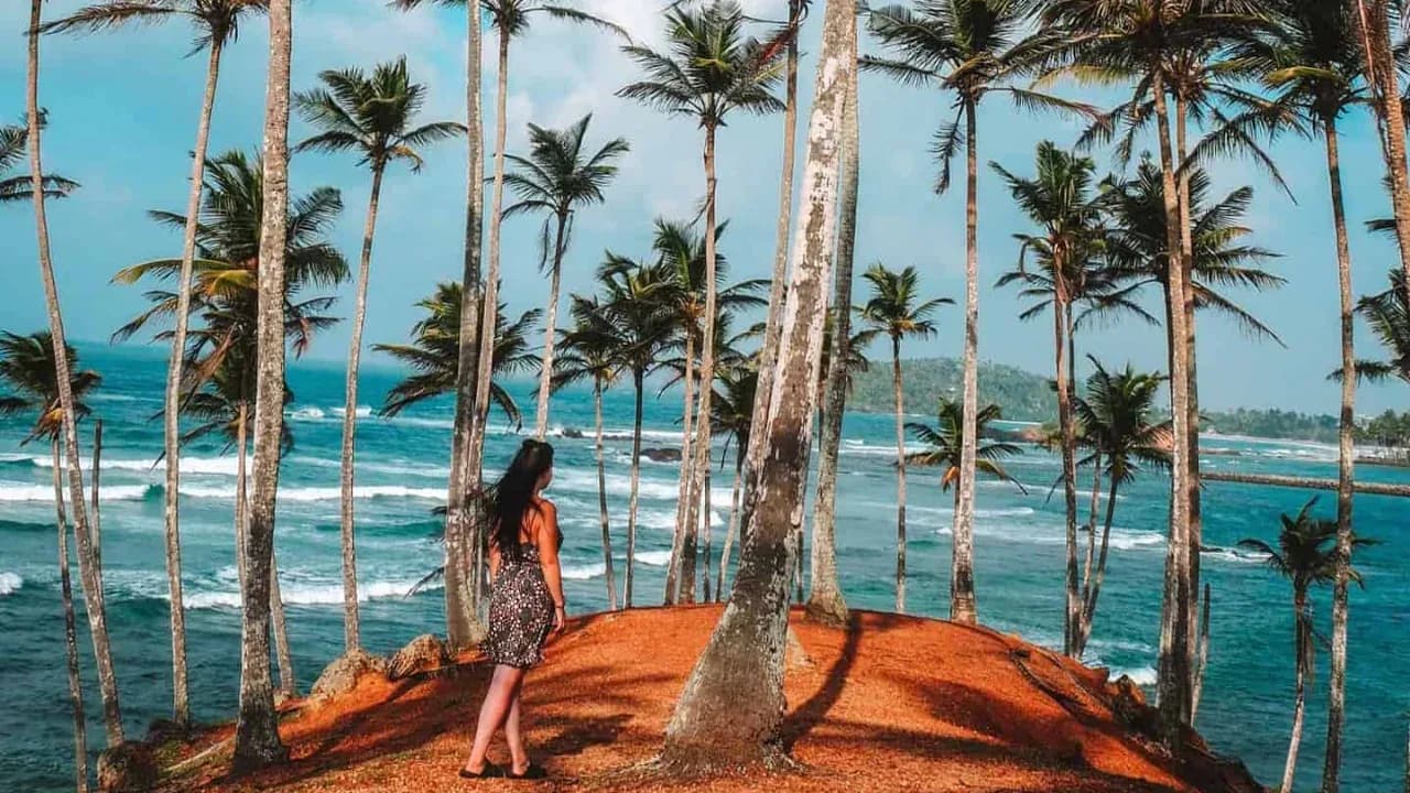 Day 10 | Coastal Discoveries & Beachside Relaxation | Mirissa
