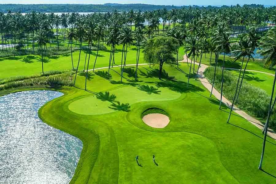 Golf & Beyond
