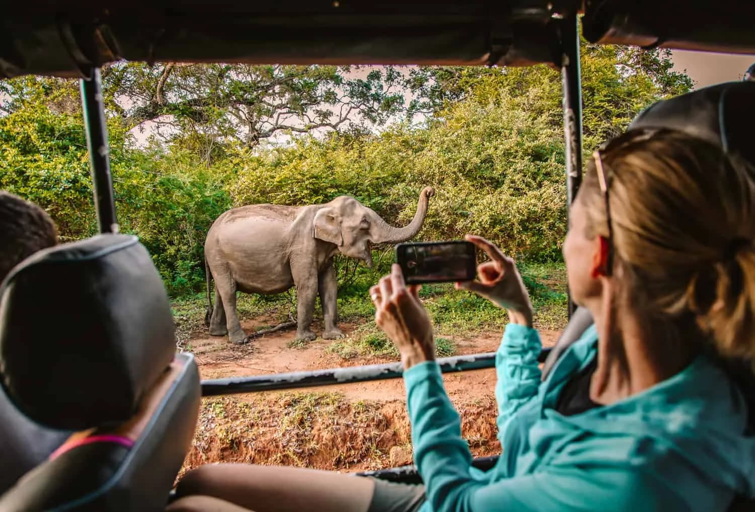 Day 10 | Yala National Park Safari